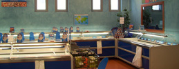refrigeration plants, refrigeration benches and cold rooms